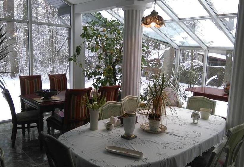 Bed and Breakfast Villa Podkowa