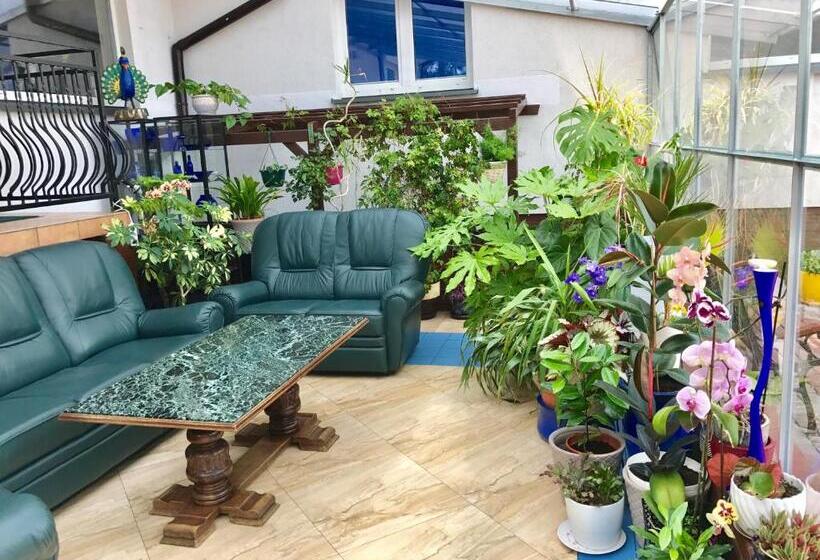 Bed and Breakfast Vita Augustów