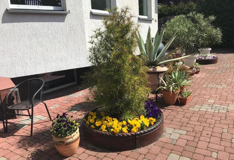 Bed and Breakfast Vita Augustów