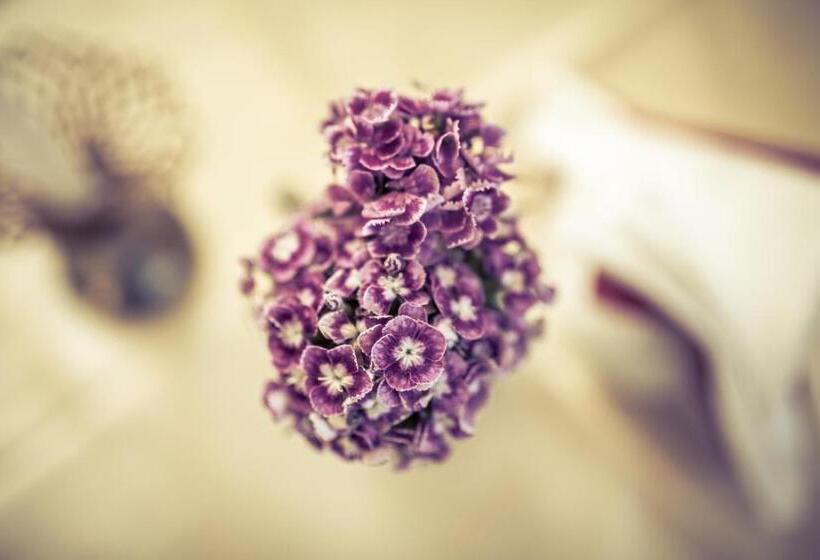 צימר W Starym Młynie