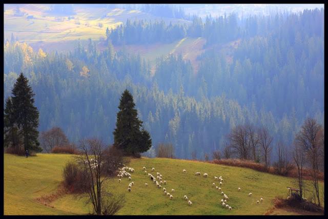 צימר Apartament I Pokoje Grota Zbójnicka W Górach Gliczarów Górny