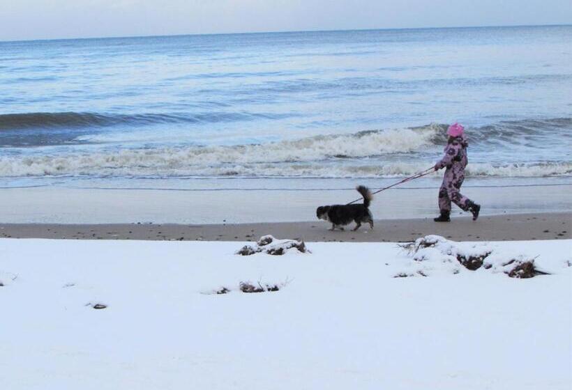 Bed and Breakfast Willa Wiktoria W Rozewiu Parking W Cenie!