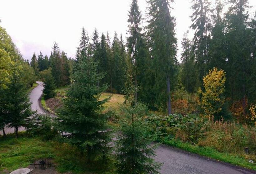 مبيت وإفطار Willowa Chata