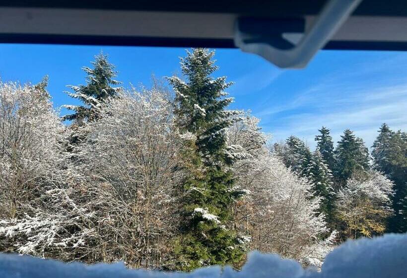 مبيت وإفطار Zagroda Na Pacanach