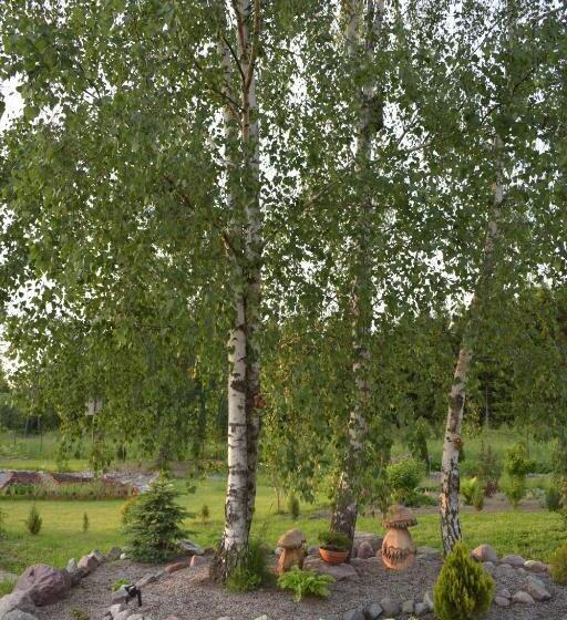 住宿加早餐  Zakątek Warmiński