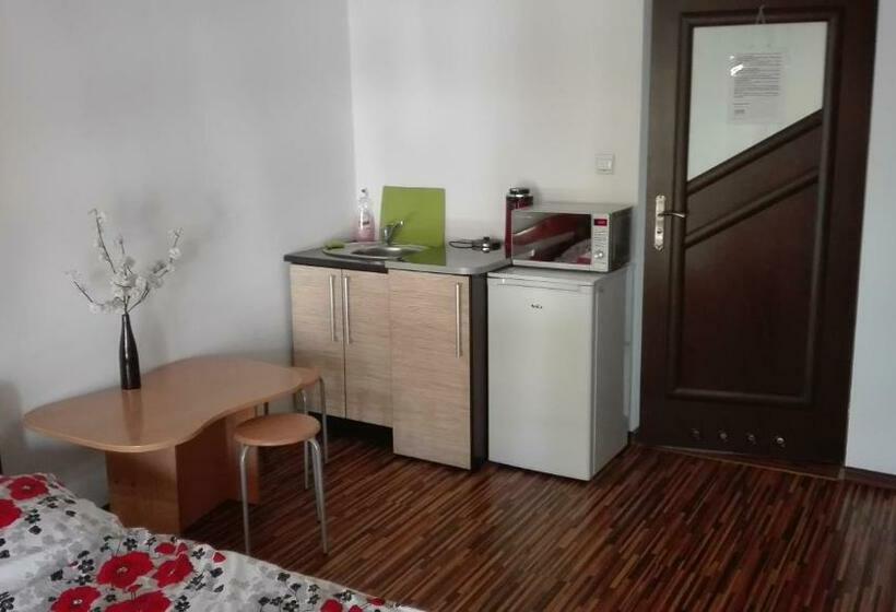 הוסטל Pokoje Typu Studio Sosnowiec