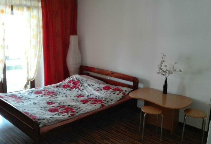 הוסטל Pokoje Typu Studio Sosnowiec