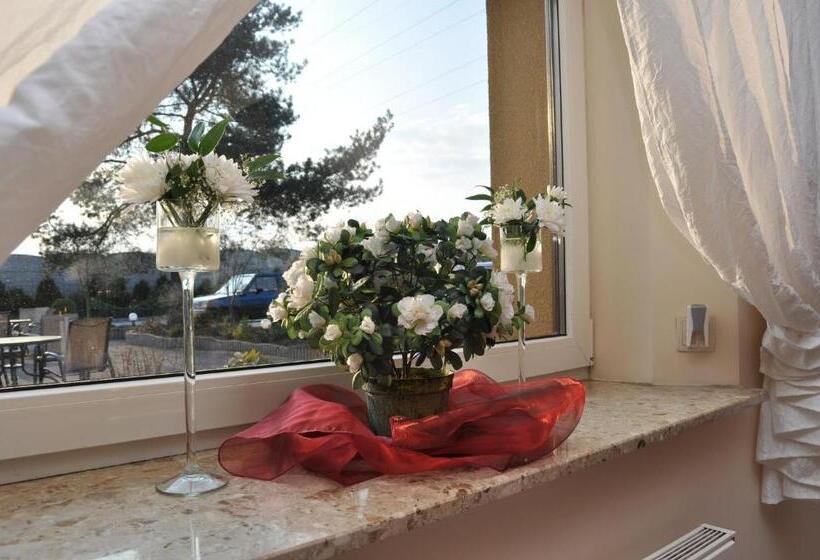 בית מלון כפרי żagiel