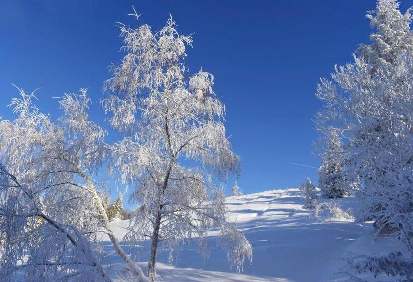 فندق Agroturystyka Chmiel