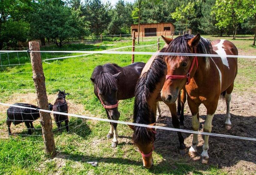 فندق Agroturystyka Olszynka