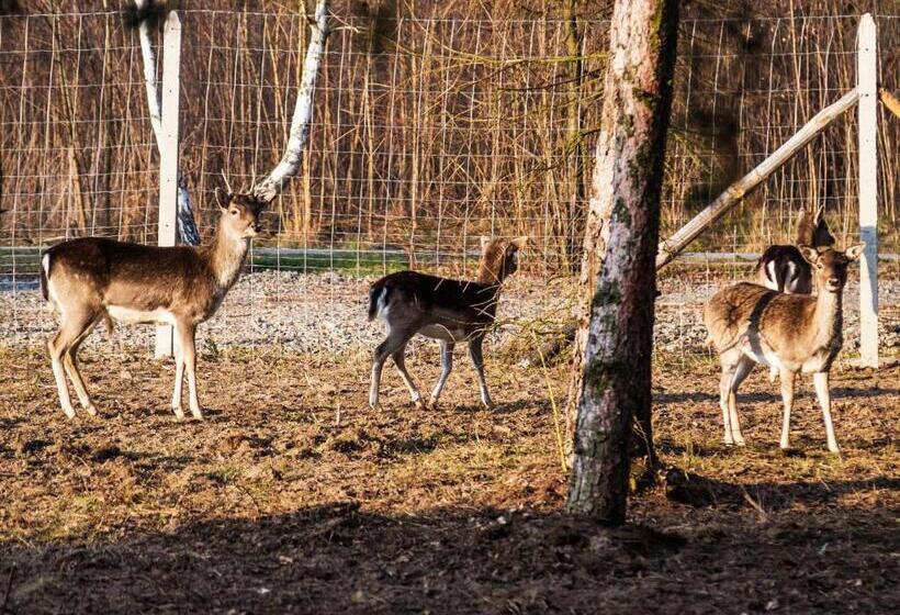فندق Agroturystyka Olszynka