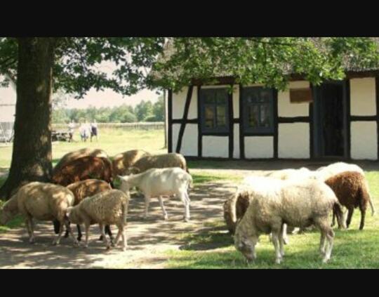 Отель Agroturystyka Pod Dębami W Klukach