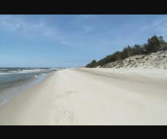 Отель Agroturystyka Pod Dębami W Klukach