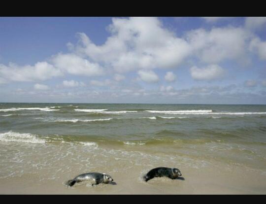 Отель Agroturystyka Pod Dębami W Klukach