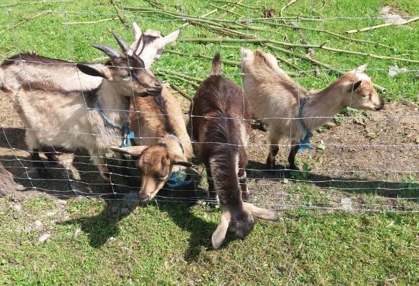 هتل Agroturystyka,, Ranczo Kruszynki