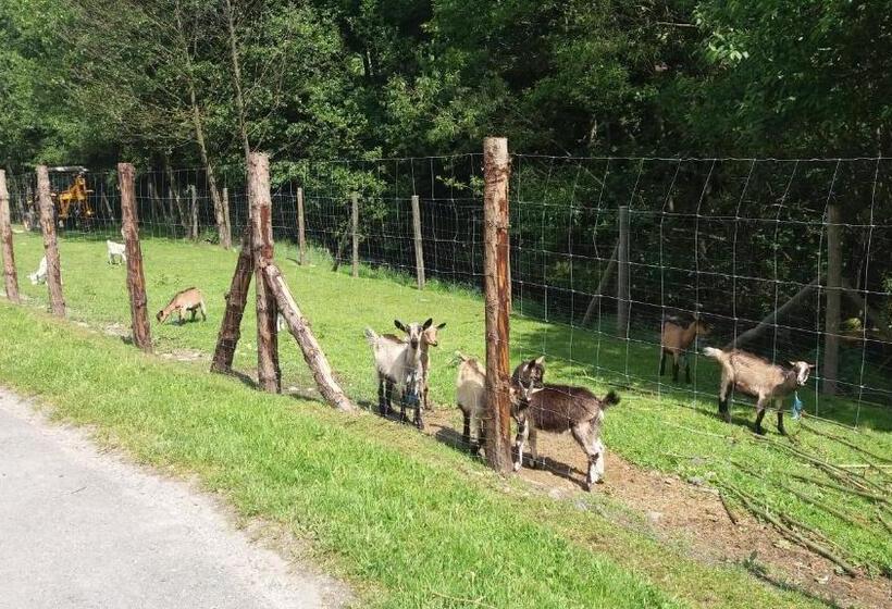 فندق Agroturystyka,, Ranczo Kruszynki