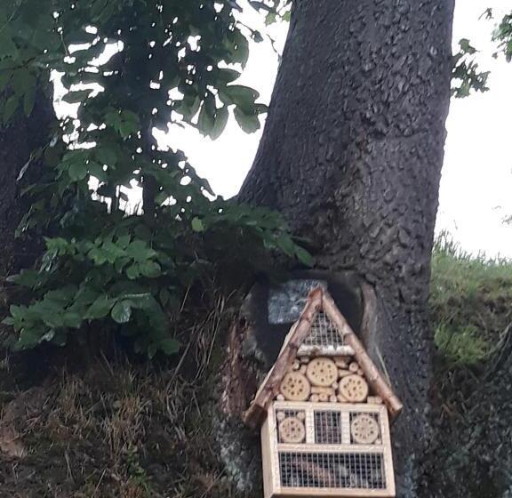 בית מלון כפרי Agroturystyka łysa Góra