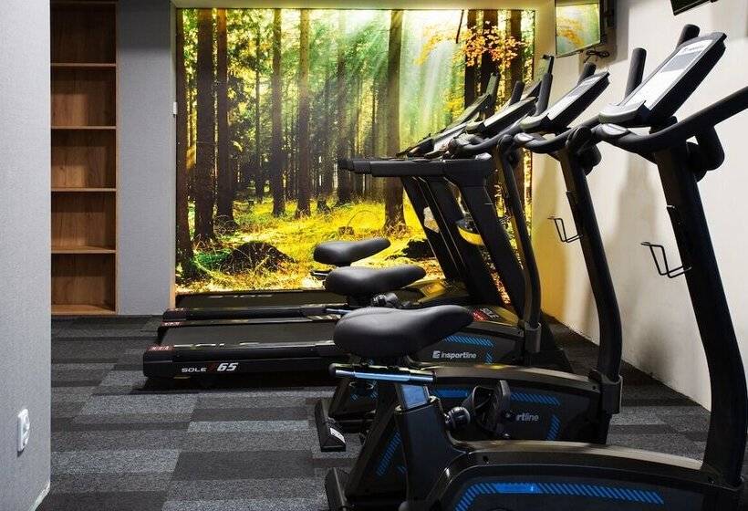 Отель Beskid Balneo Medical Resort & Spa