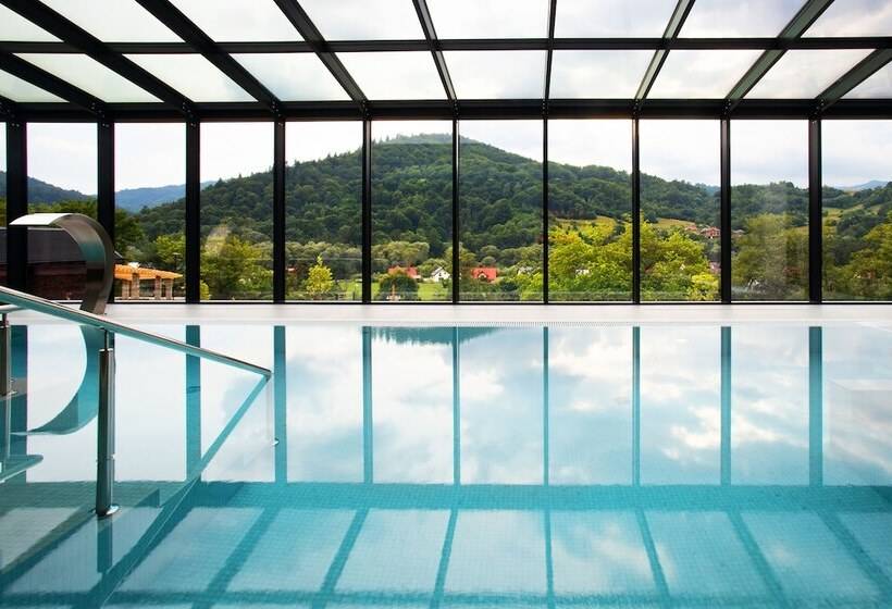 Отель Beskid Balneo Medical Resort & Spa
