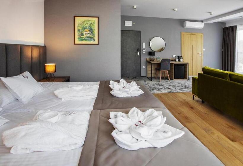 Отель Beskid Balneo Medical Resort & Spa