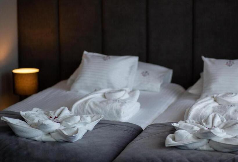 Отель Beskid Balneo Medical Resort & Spa