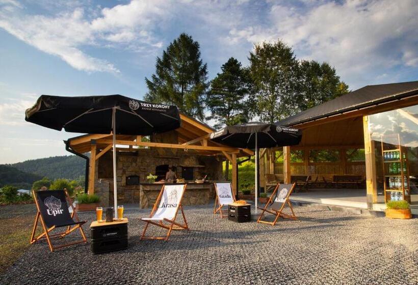 Отель Beskid Balneo Medical Resort & Spa