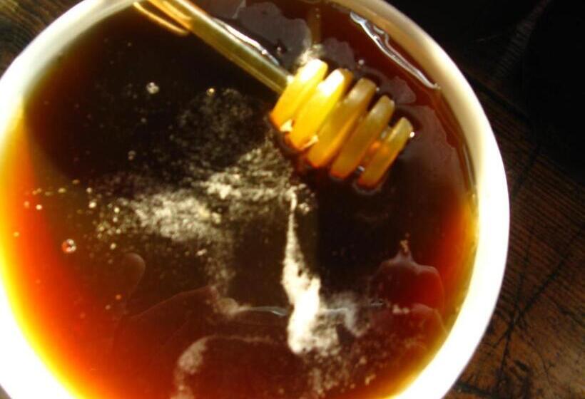 Otel Chata Pod Jaworem