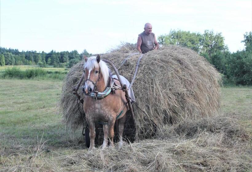 酒店 Cichosza   The Sound Of Silence