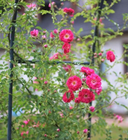 酒店 Cichosza   The Sound Of Silence