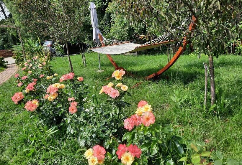 酒店 Cichosza   The Sound Of Silence