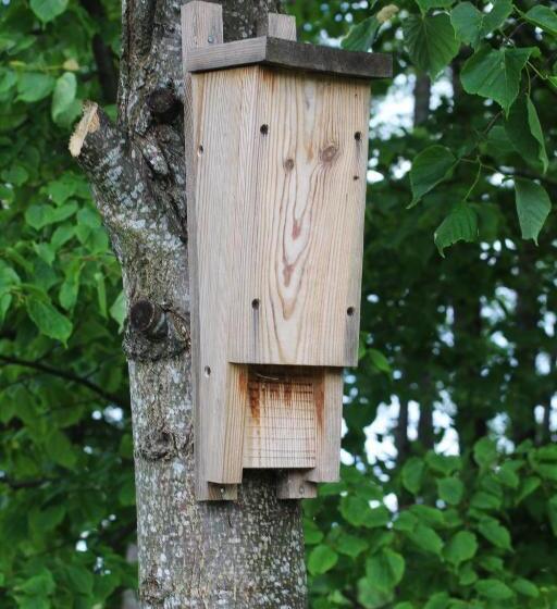 酒店 Cichosza   The Sound Of Silence