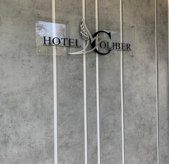 בית מלון כפרי Coliber