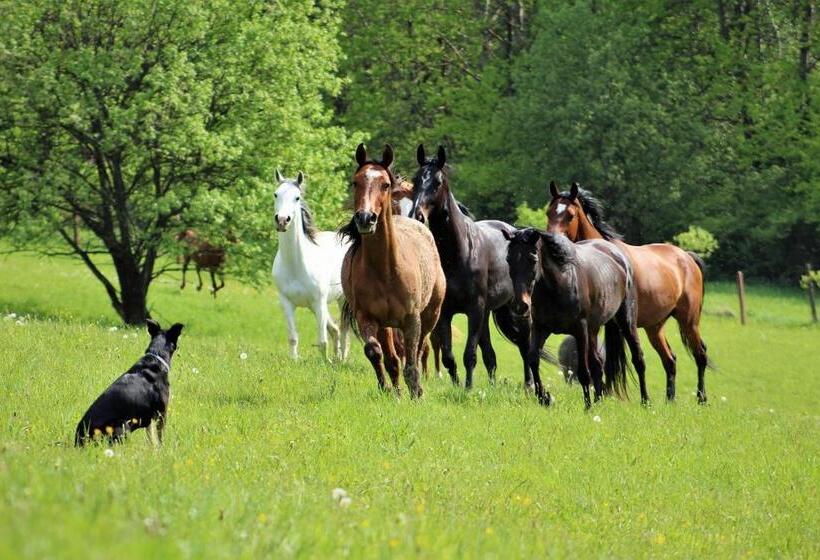 בית מלון כפרי Domek Kozacki