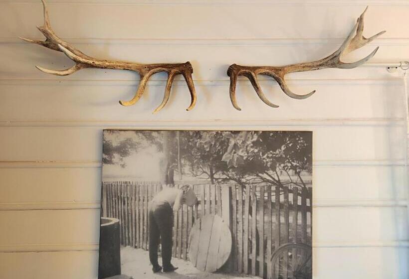 هتل Gniazdo W Felicjanowie