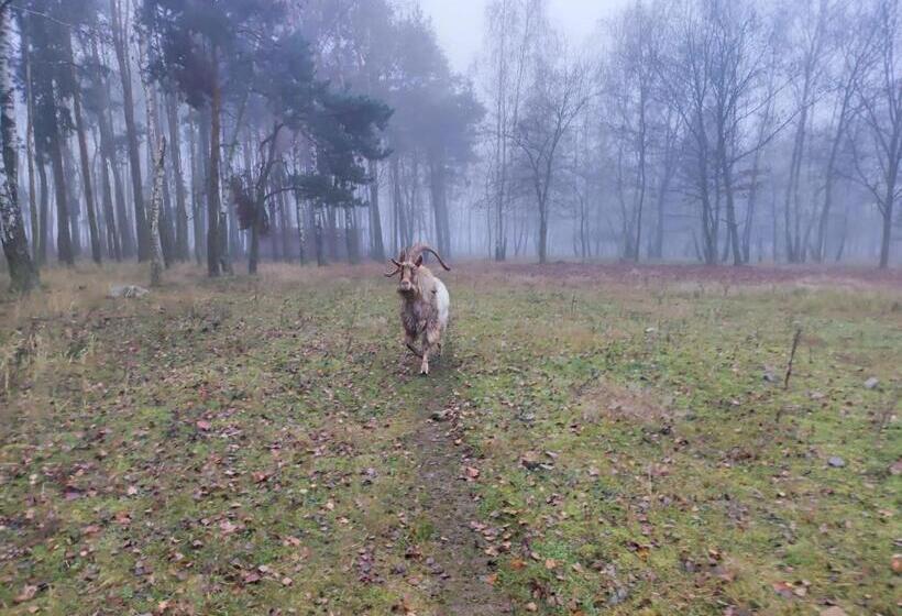 هتل Gniazdo W Felicjanowie