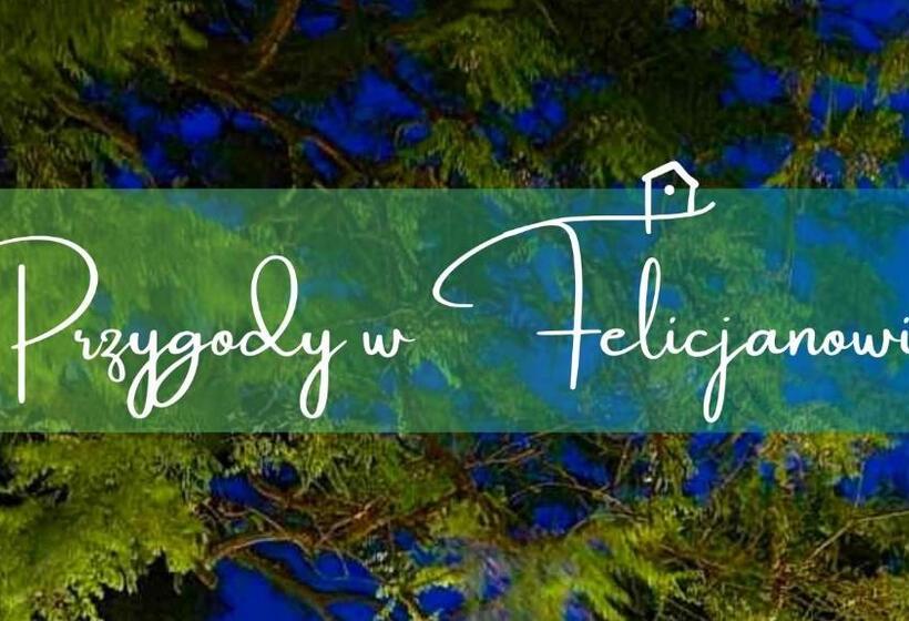 هتل Gniazdo W Felicjanowie