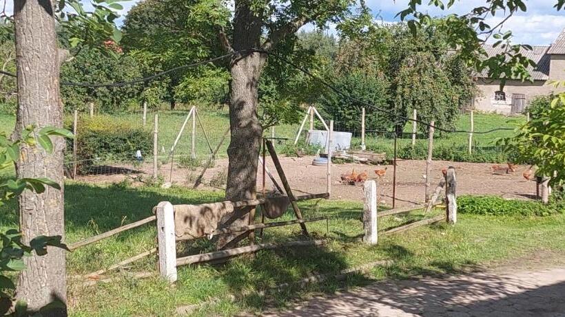 בית מלון כפרי Gospoda Rycerska Pod Grunwaldem