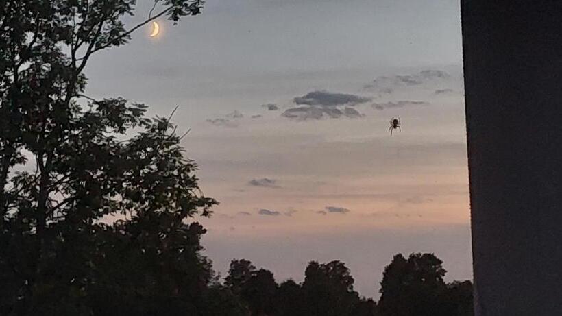 בית מלון כפרי Gospoda Rycerska Pod Grunwaldem