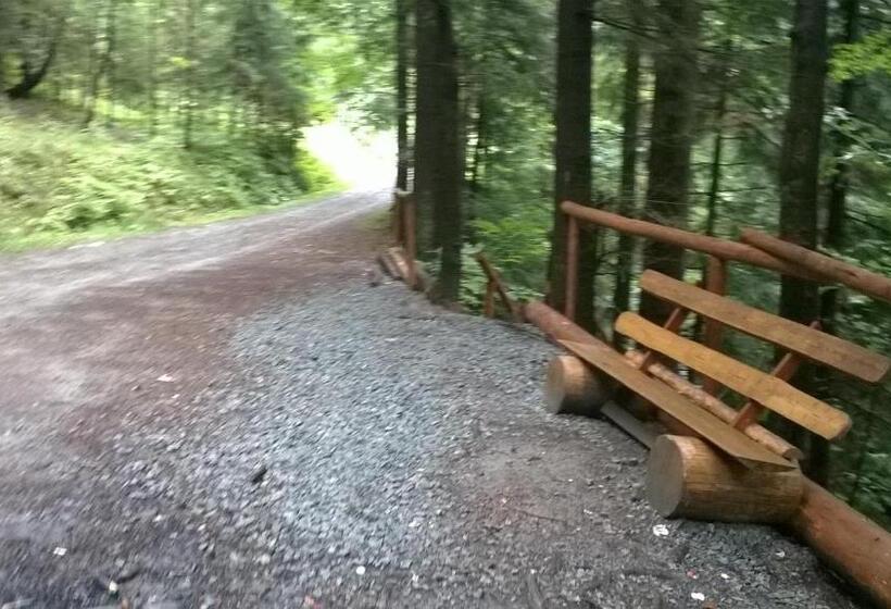 فندق Góralska Czarcia Chata Pod Jałowcem