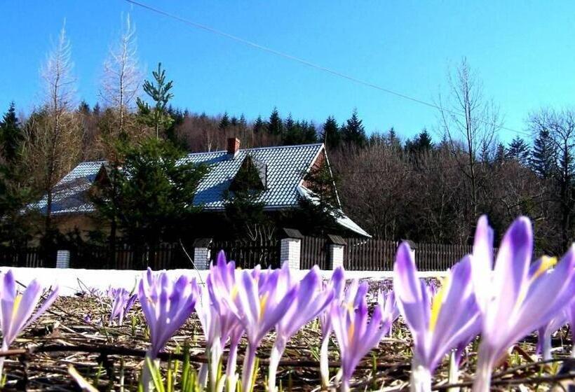 فندق Góralska Czarcia Chata Pod Jałowcem