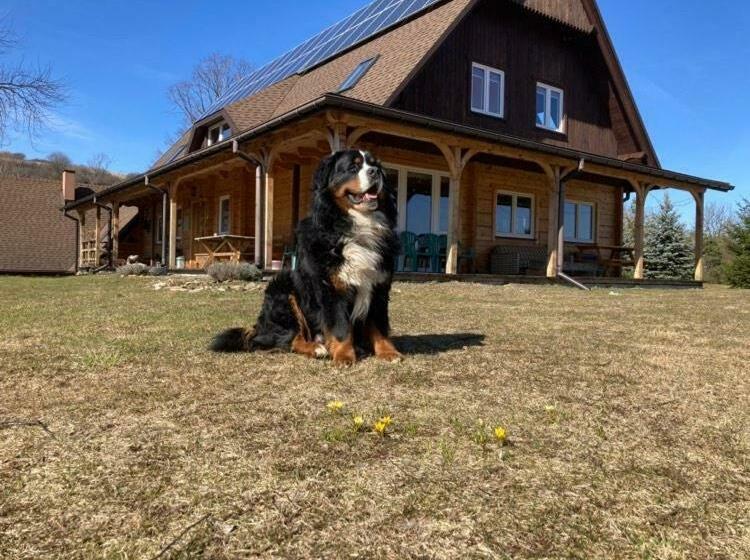 酒店 Gutkowa Koliba