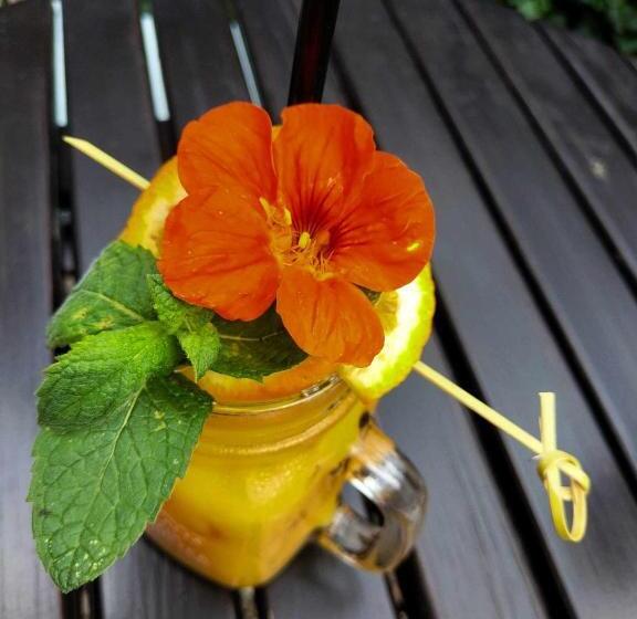 酒店 Kamienica Pokoje & Restauracja