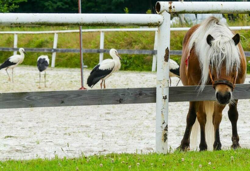 בית מלון כפרי Karkonoskie Siodło