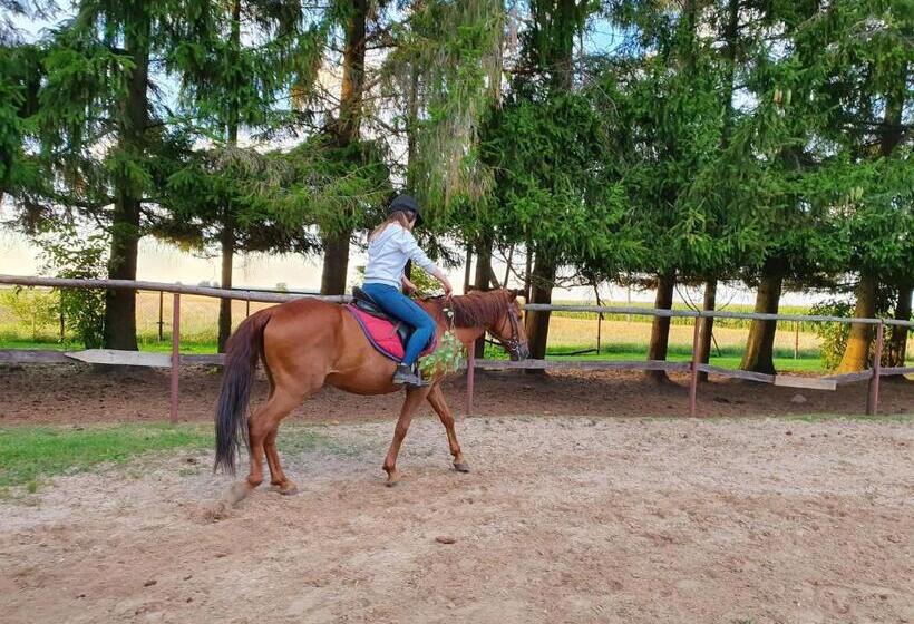 酒店 Kurnik Polski Agroturystyka