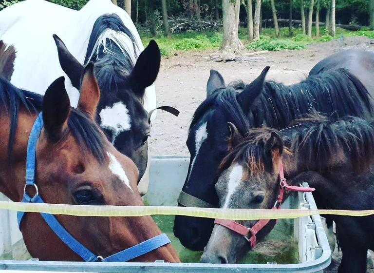 酒店 Kurnik Polski Agroturystyka