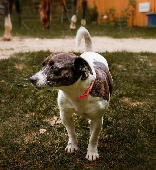 酒店 Kurnik Polski Agroturystyka