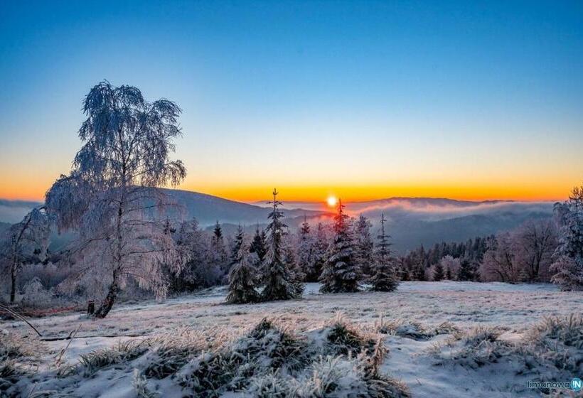 ホテル Lipowe Wzgórze Limanowa