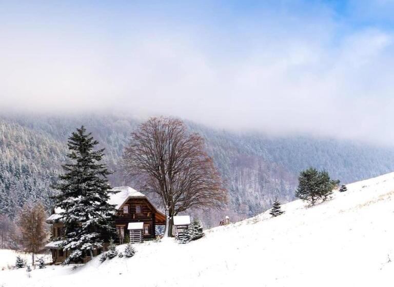 ホテル Lipowe Wzgórze Limanowa