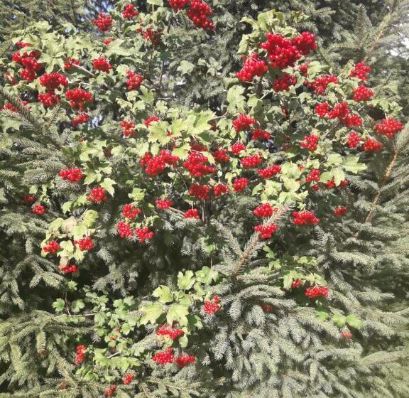 فندق Mala Chatka