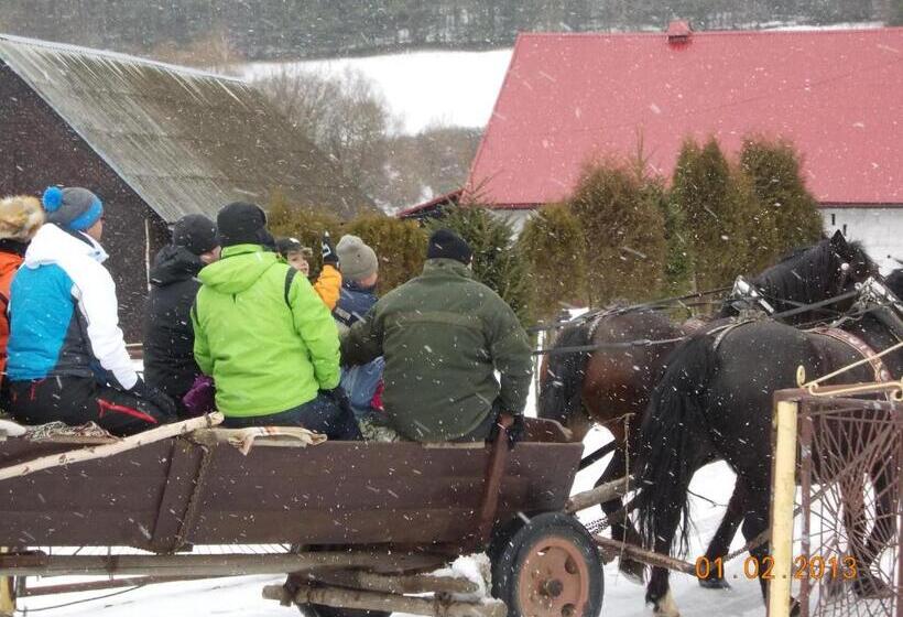 Отель Nad Krolówką